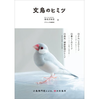 文鳥のヒミツ   /グラフィック社/海老沢和荘